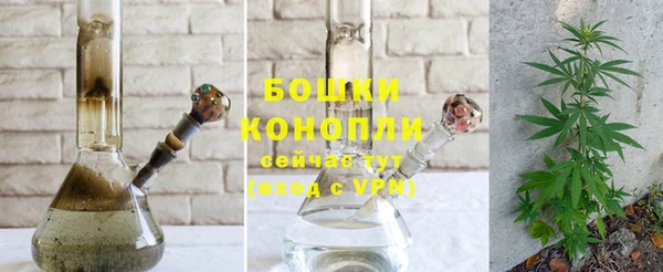 молекула духа Баксан
